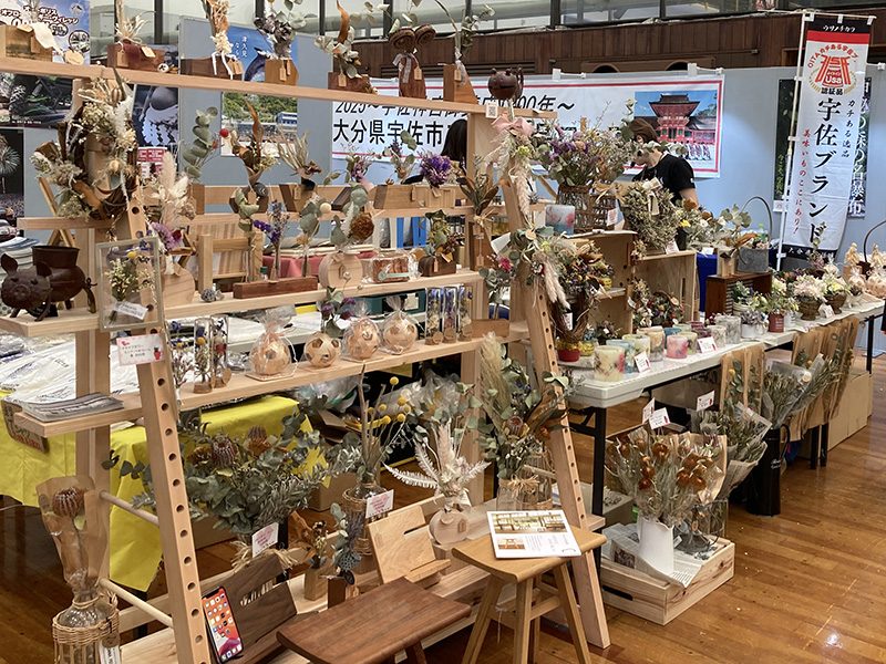 画像15